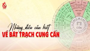 Những điều cần biết về cung cấn