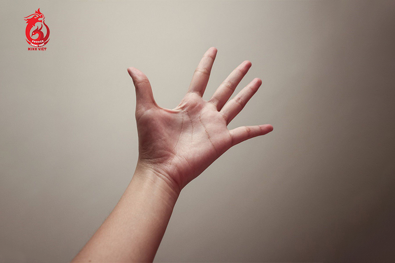 Cách xem tướng số qua hình dáng của bàn tay