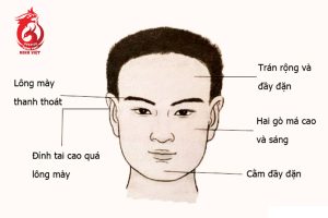 Nhân tướng học lông mày nam