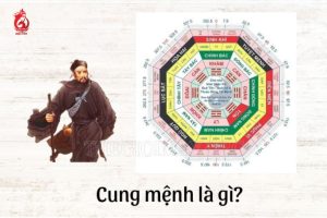Các cung trong cung Mệnh và ý nghĩa