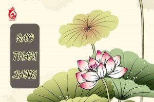 Thông tin tổng quan và chi tiết nhất về sao Tham Lang