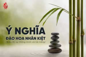 Người Đào Hoa Nhân Kiệt Có Sức Hút Tinh Thần và Sự Lôi Cuốn