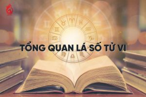 Tổng Quan về lá số tử vi