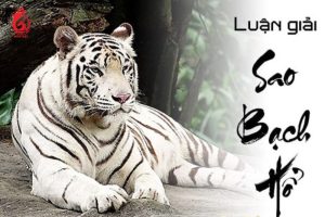 Ý nghĩa sao Bạch Hổ ở các cung khác