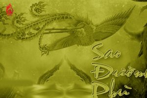 Tổng quan về sao Đường Phù