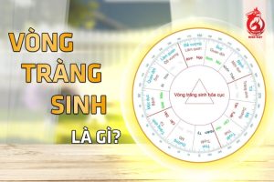Vòng Trường sinh là gì?
