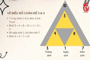 Tìm hiểu 4 đỉnh cao của đời người thần số học là gì?
