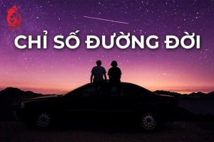 Chỉ số đường đời là gì?