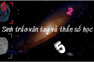 Mối quan hệ của sinh trắc vân tay và thần số học