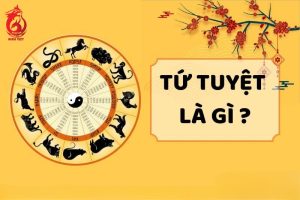 Tứ Tuyệt trong tử vi là gì?