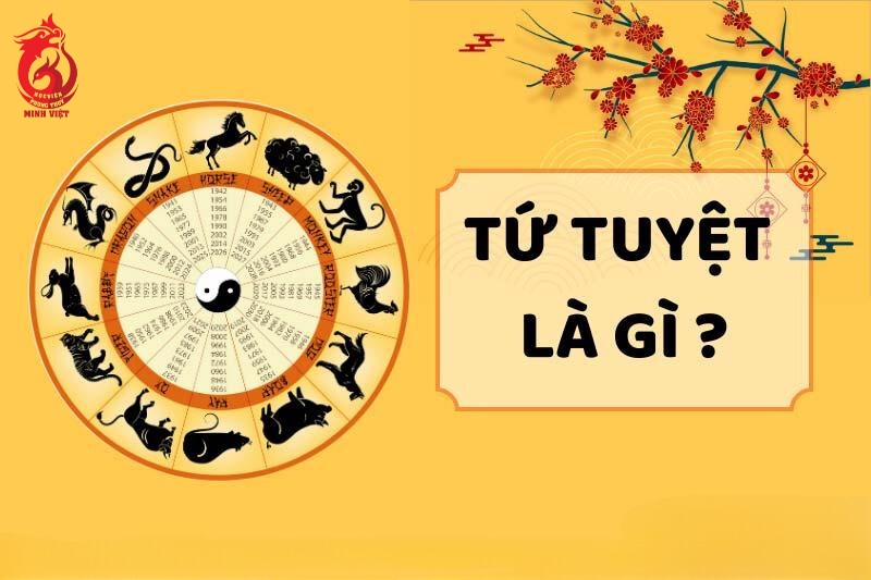 Tứ Tuyệt trong tử vi là gì?