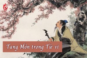 Sao Tang Môn tại các cung khác trong Tử Vi