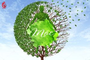 Người Mệnh Mộc Sinh Năm Nào?