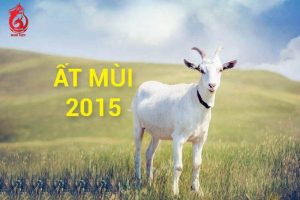 Sinh năm 2015 tuổi gì?