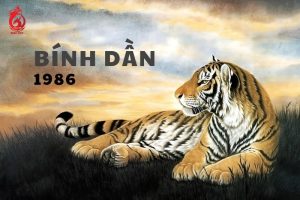 Tuổi Bính Dần sinh năm 1986 hợp với tuổi nào?
