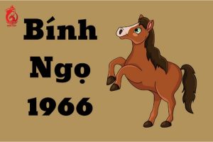 Tổng quan về tuổi Bính Ngọ 1966