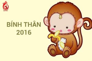 Sinh năm 2016 tuổi gì?