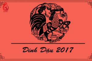 Sinh năm 2017 tuổi gì?