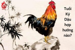 Sinh năm 1969 hợp, kỵ hướng nào?
