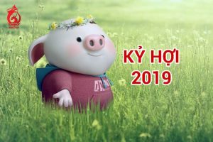 Tuổi Kỷ Hợi 2019 hợp với tuổi nào?