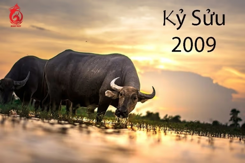 Sinh năm 2009 cung mệnh gì?