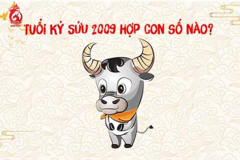 Sinh năm 2009 hợp con số nào?