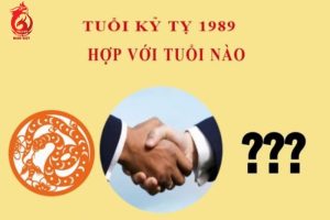 Tuổi hợp và khắc tuổi Kỷ Tỵ