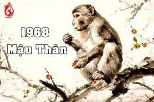 Tổng quan về người tuổi Mậu Thân 1968