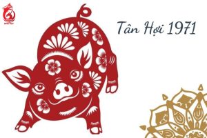 Tổng quan tuổi Tân Hợi 1971