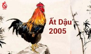 Vật phẩm phong thuỷ hợp với tuổi Ất Dậu sinh năm 2005