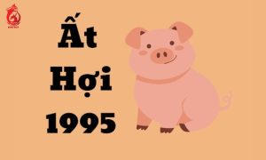 Tuổi Ất Hợi 1995 hợp màu gì?