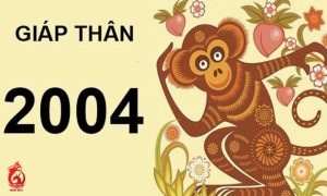 Sinh năm 2004 thuộc cung gì?