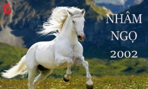 Tuổi Nhâm Ngọ hợp tuổi nào để làm ăn phát đạt?