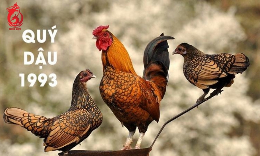 Quý Dậu hợp tuổi nào?