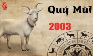 Tuổi Qúy Mùi 2003 hợp màu gì?