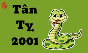 Người tuổi Tân Tỵ 2001 mệnh gì?
