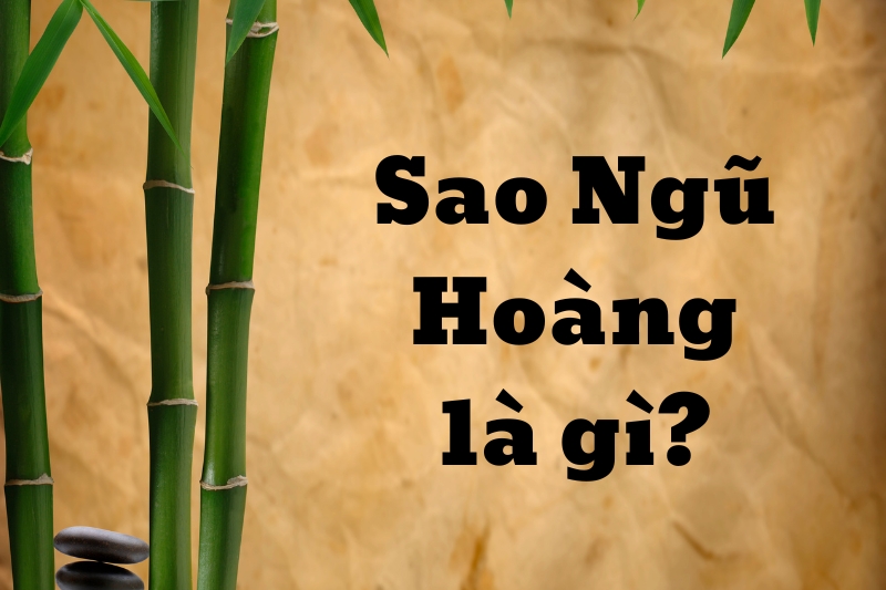 Mối quan hệ của sao Ngũ Hoàng trong Cửu Tinh
