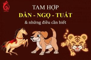 Cách tính bộ tam hợp