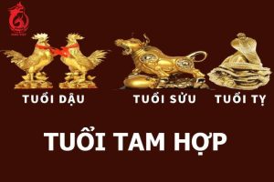 Tính cách của người thuộc nhóm tam hợp kim cục