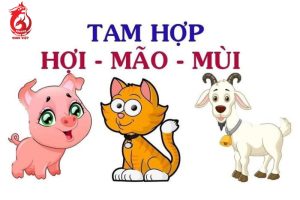Tam hợp mộc cục thuộc nhóm nào?
