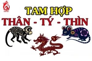 Tam hợp thủy cục hành gì?