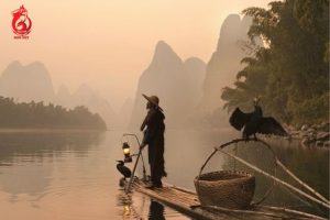 Đặc tính của sao Hữu Bật