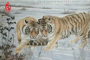 Sao Bạch Hổ là gì và ảnh hưởng thế nào khi lâm hạn?