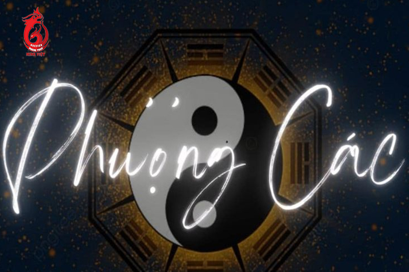 Ảnh hưởng của Phượng Các khi vào hạn