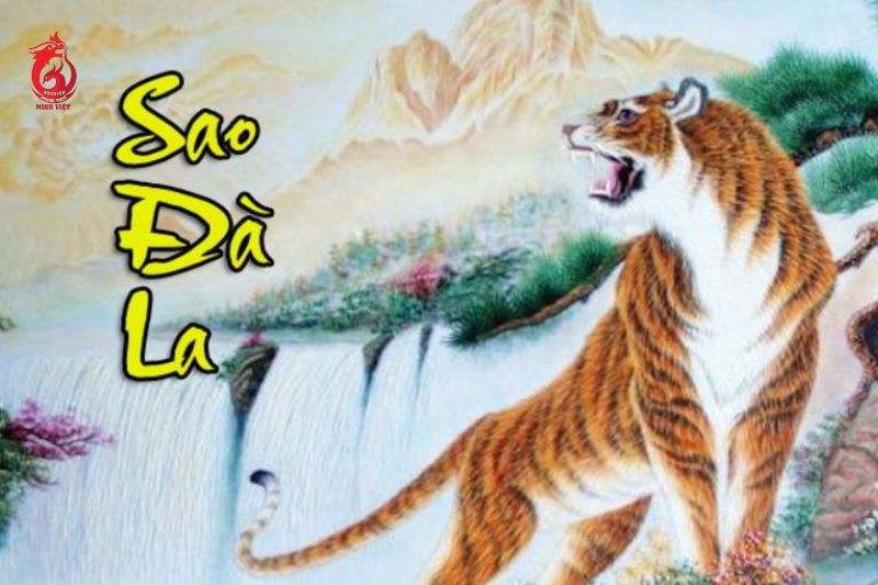 Tổng quan về sao Đà La trong tử vi
