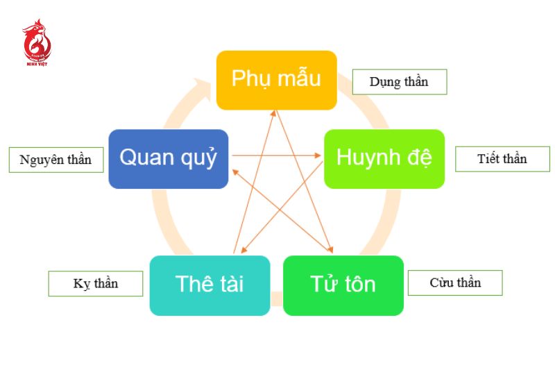 Chọn dụng thần trong quẻ dịch