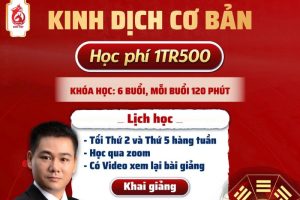 khoa-kinh-dich-co-ban-cho-nguoi-moi-bat-dau