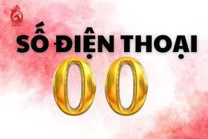 so-dien-thoai-duoi-00-3