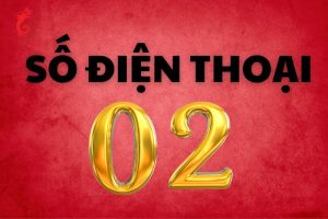 so-dien-thoai-duoi-02-2